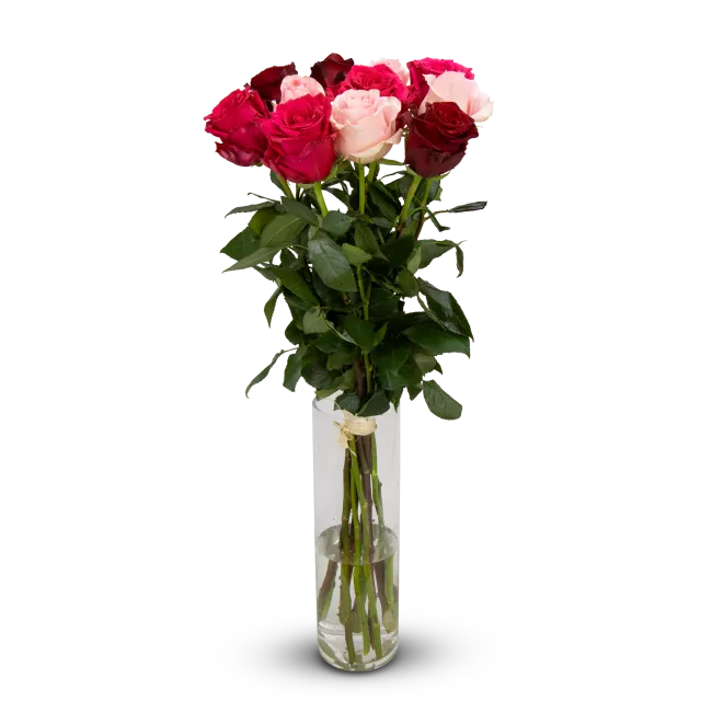 kytice ekvádorských růží